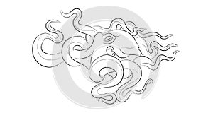 Linear illustration of octopus