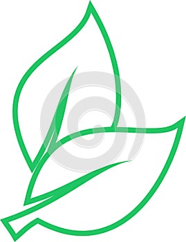 Linear leaves icon as environmental preservation symbol