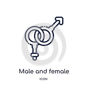 Linear male and female gender icon from Human body parts outline collection. Thin line male and female gender icon isolated on photo