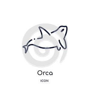 Linear orca icon from Animals and wildlife outline collection. Thin line orca vector isolated on white background. orca trendy