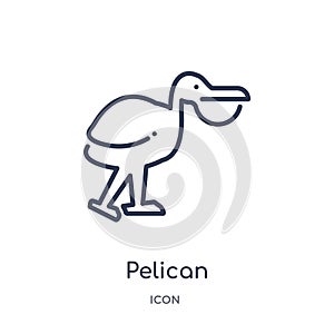 Linear pelican icon from Animals outline collection. Thin line pelican icon isolated on white background. pelican trendy