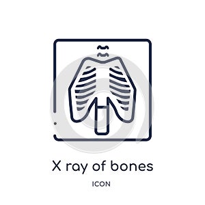 Linear x ray of bones icon from Medical outline collection. Thin line x ray of bones icon isolated on white background. x ray of