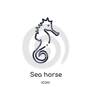 Linear sea horse icon from Animals and wildlife outline collection. Thin line sea horse vector isolated on white background. sea