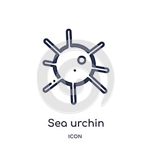 Linear sea urchin icon from Animals outline collection. Thin line sea urchin icon isolated on white background. sea urchin trendy