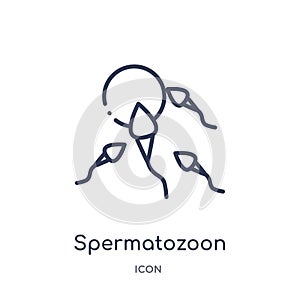 Linear spermatozoon icon from Health and medical outline collection. Thin line spermatozoon icon isolated on white background.