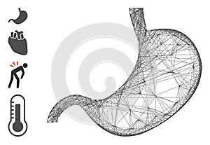 Linear Stomach Vector Mesh