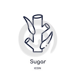 Linear sugar icon from Agriculture farming and gardening outline collection. Thin line sugar vector isolated on white background.