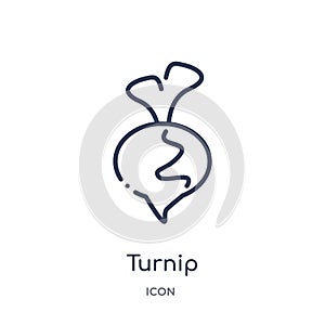 Linear turnip icon from Gastronomy outline collection. Thin line turnip icon isolated on white background. turnip trendy