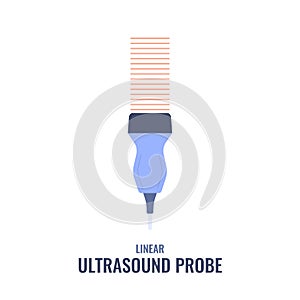 Linear ultrasound probe transducer sonography diagram illustration