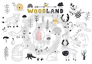 The linear vector children illustration set of cute forest animals.