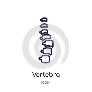 Linear vertebra icon from Medical outline collection. Thin line vertebra icon isolated on white background. vertebra trendy