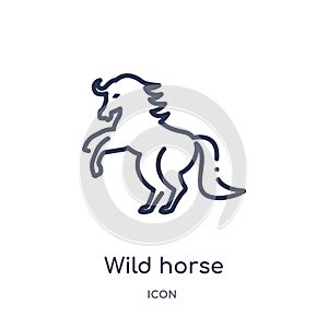 Linear wild horse icon from Animals and wildlife outline collection. Thin line wild horse vector isolated on white background.