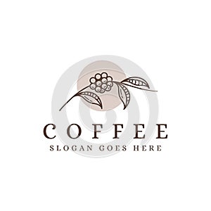 Lineart coffee branch logo, coffee bean logo, coffee plant logo icon vector template