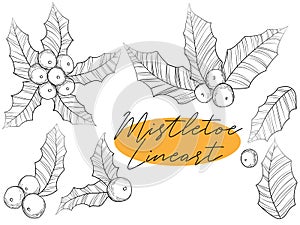 Lineart hand draw mistletoe collection for christmas