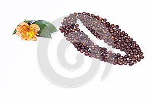 Lined coffee beans from small coffee beans and an orange hibiscus flower on a white background, copy space, natural