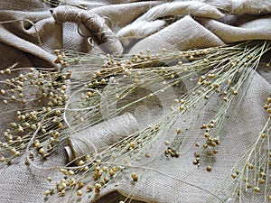 Linen fabric and thread photo