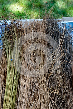 Linen, flax fiber, European flax wheel used to spin flax into linen thread