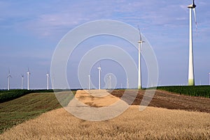 Lines of agriculture fields with wind mills