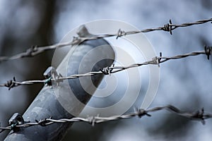 Lines of barbed wire to demarcate the border