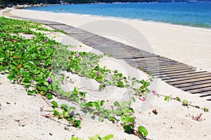 Lines at the beach