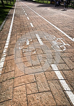 Lines of a bicycle lane on an orange paved ground on a pedestrian walkway with gardens on the sides, vanishing lines