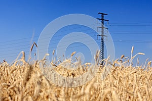 Lines of electricity transmissions