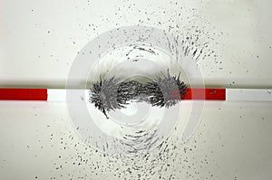 The lines of forces around two magnets with merging and cooperating magnetic fields