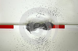 The lines of forces around two magnets with merging and cooperating magnetic fields photo