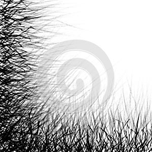Lines Graphic Sketch Hand Drawing Black and White Abstract Background