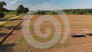 Lines of hey lying on a field to dry in the sun.