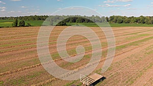 Lines of hey lying on a field to dry in the sun. Aerial view.