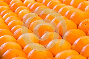 Lines of many oranges in rows
