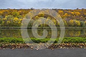 Lines in nature. Autumn colorful park. Overcast sky, yellow forest, mirror lake, green grass, fall fallen leaves, dark gray