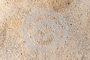 Lines in the sand of a beach