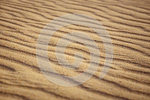 Lines in the sand of a beach