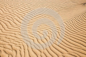 Lines in the sand of a beach