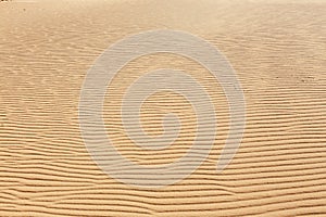 Lines in the sand of a beach