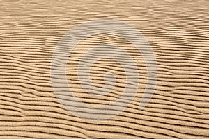 Lines in the sand of a beach