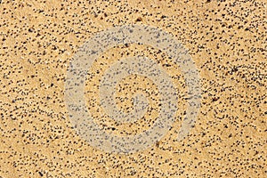 Lines in the sand of a beach