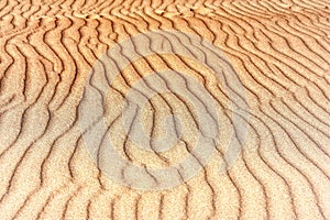 Lines in the sand of a beach, close up. Dunes in Lithuania