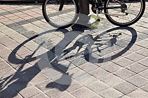 The lines and shadows on concrete of bicicle photo