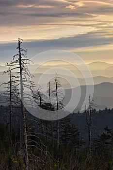 Lines of the Smokies photo