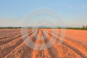 Lines of soil made by tractors has blue sky and mountain background ,