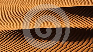 Lines suggest motion and fluidity capturing the beauty of a dynamic