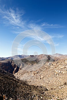 Lines - Swartberg Nature Reserve