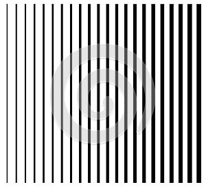 Lines from thin to thick. Set of 22 straight, parallel vertical
