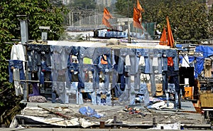 Lines of washing lines