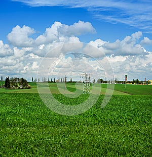 waves of young winter wheat shoots on field with cloudly blue sky