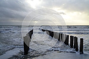 Lines of wooden posts extending out towards the ocean waters