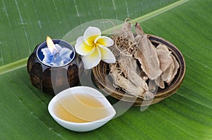 Ling Zhi Mushroom, Lingzhi (Ganoderma lucidum (Fr.) Karst), ginseng root and honey photo